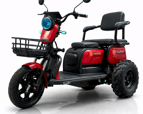 ATV Offroad ДЕЗЪРТ триместна електрическа триколка TS 350-7-NEW 2500W 25Ah