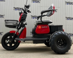 ATV Offroad ДЕЗЪРТ триместна електрическа триколка TS 350-7-NEW 2500W 25Ah снимка 213