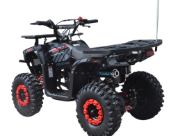 Детско бензиново ATV 49сс TELSTAR SIRIUS с електрически стартер снимка 274