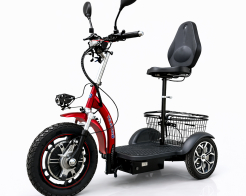 Електрическа триколка с равна платформа и облегалка TS 200.3 48V 750W снимка 26